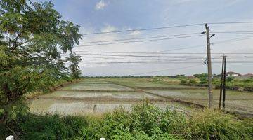 Gambar 5 Dijual Tanah 3.920 M2 di Pinggir Jalan Raya Ring Road Utara