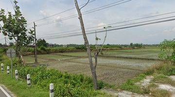 Gambar 1 Dijual Tanah 3.920 M2 di Pinggir Jalan Raya Ring Road Utara