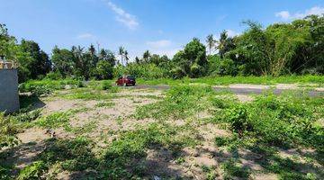 Gambar 5 Dijual Tanah View Sawah Di Pering, Gianyar 