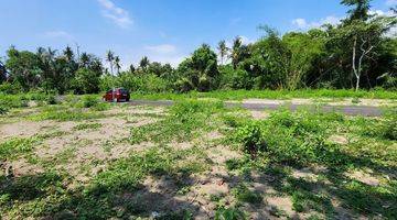 Gambar 2 Dijual Tanah View Sawah Di Pering, Gianyar 