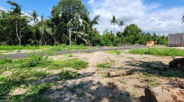 Gambar 4 Dijual Tanah View Sawah Di Pering, Gianyar 