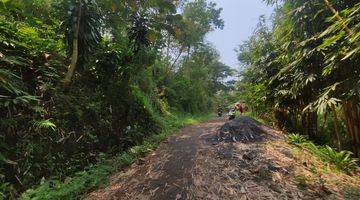 Gambar 5 Tanah Di Ngembul, Tajinan