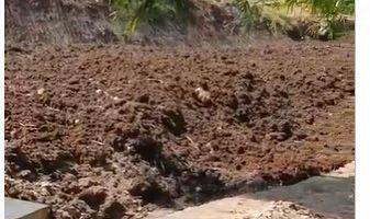 Gambar 4 Tanah Lokasi Kayu Tulang Utara, Uma Buluh Tibubeneng Canggu