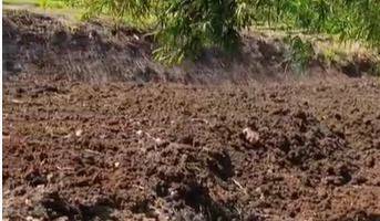 Gambar 1 Tanah Lokasi Kayu Tulang Utara, Uma Buluh Tibubeneng Canggu