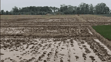 Gambar 3 di Jual Lahan Zona Merah Industri Nol Jalan Provinsi Tegal 