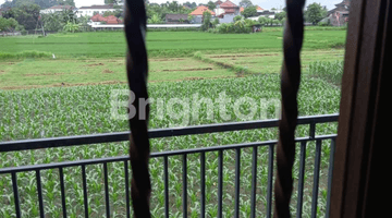 Gambar 4 RUMAH WARIBANG, KESIMAN, DENPASAR TIMUR