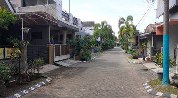 Gambar 5 Dijual Via Lelang Rumah Siap Huni Perum Surya Milenia Jember Shm