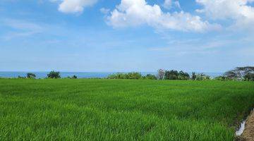 Gambar 2 Dijual Tanah Kavling Eksklusif Dengan View Sawah Dan Laut Berlokasi di Kedungu Tabanan