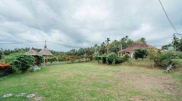 Gambar 1 Villa View Sawah Dan Gunung Batukaru Bebas Polusi Kerambitan