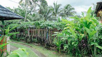 Gambar 3 Villa View Sawah Dan Gunung Batukaru Bebas Polusi Kerambitan