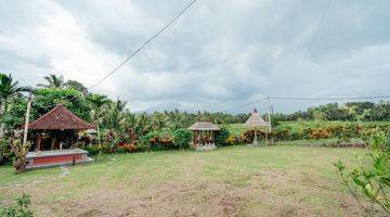 Gambar 4 Villa View Sawah Dan Gunung Batukaru Bebas Polusi Kerambitan