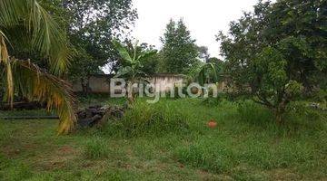 Gambar 1 Di Jual Tanah  Kurleb 3100 Mtr2 Bonus 4 Unit Rumah 1 Musholla