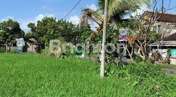 Gambar 1 KAN TANAH DI DAERAH KEBO IWA GIANYAR