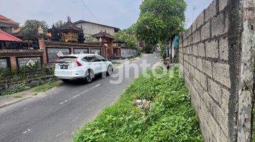 Gambar 3 KAN TANAH COCOK UNTUK INDUSTRI DI AREA BENG GIANYAR