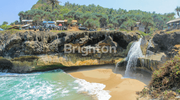 Gambar 2 KAWASAN ASRI PINGGIR BIBIR PANTAI COCOK UNTUK VILA ATAU GLAMPING