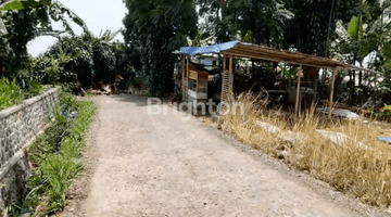 Gambar 3 TANAH RUMAH KEBUN 2604M2 SHM IMB CIANJUR