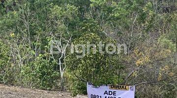 Gambar 3 DI  TANAH VIEW LAUT YANG SANGAT INDAH (NEGO)