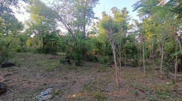 Gambar 5 Land For Sell At Pemuteran 5mins To The Beach 