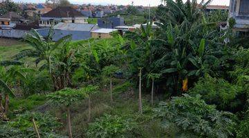 Gambar 2 Tanah 227 m² Dengan Pemanandang Sawah di Padonan, Tibubeneng