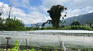 Gambar 2 Tanah View Danau Buyan Bukit Sudah Aspek Lok Pancesari Bedugul Tanah di Jln wisata danau buyan, Pancasari SHM - Sertifikat Hak Milik 2000 Are