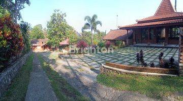 Gambar 2 Villa Eksotis Aktif  di Area Wisata Trawas Mojokerto