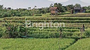 Gambar 1 DIJUAL TANAH UNTUK VILLA DEKAT UMALAS BALI