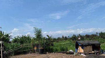 Gambar 5 Dijual Tanah Kavling Di Pering, Gianyar