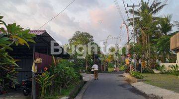 Gambar 3 Tanah Di Peliatan, Ubud Cocok Untuk Resto Atau Vila