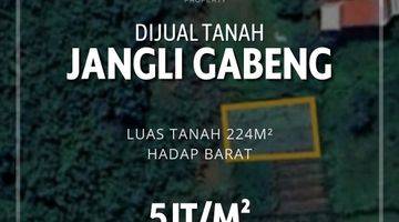 Gambar 1 Tanah Jangli Area Semarang Atas