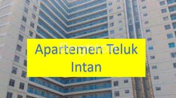 Gambar 3 1 UNIT STUDIO ROOM APARTEMEN TELUK INTAN - TOWER SAPPHIRE