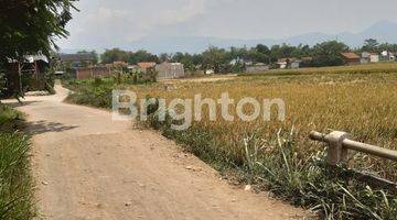 Gambar 2 CEPAT LAHAN SAWAH PRODUKTIF DI CIPARAY