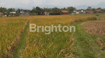 Gambar 3 CEPAT LAHAN SAWAH PRODUKTIF DI CIPARAY