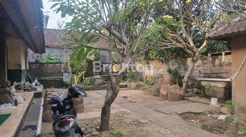 Gambar 2 STORE UNFURNISHED - UBUD