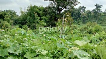 Gambar 3 Tanah kebun dan Rumah Warugunung Dekat Wisata Pacet Mini Park Mojokerto