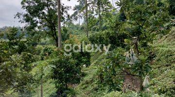 Gambar 1 Tanah kebun dan Rumah Warugunung Dekat Wisata Pacet Mini Park Mojokerto