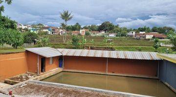 Gambar 5 Tanah Ada Rumah Kolam View Kota Bandung Ujungberung Shm