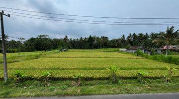 Gambar 2 Dijual Tanah Kavlingan Lingkungan Villa Pejeng Ubud Gianyar Bali Tanah 3 Shm Are