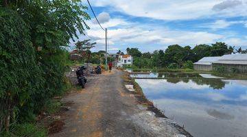 Gambar 3 Dijual Tanah 300 m² Ubud