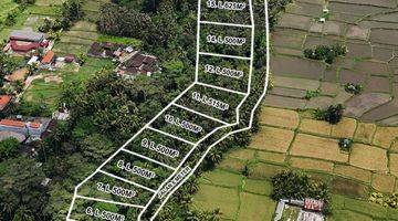 Gambar 1 Dijual Tanah Kavlingan Lingkungan Villa Pejeng Ubud Gianyar Bali Tanah 3 Shm Are