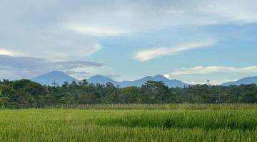 Gambar 3 Di Jual Tanah Ubud Gianyar Bali