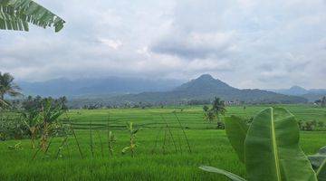 Gambar 3 Jual Tanah Sawah Include SHM Di Bogor Timur 