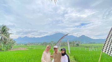 Gambar 4 Jual Sawah Produktif Kavling Nuansa Alam Cariu Bogor Timur 