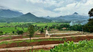 Gambar 4 Jual Tanah Sawah Include SHM Di Bogor Timur 