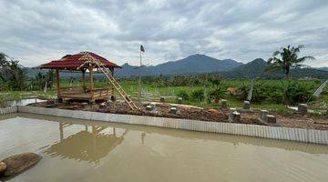 Gambar 3 Jual Tanah Sawah Murah Produktif Cariu Bogor Timur Lainnya