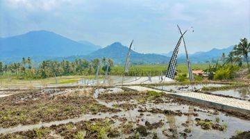 Gambar 3 Tanah Kavling Sawah SHM - Cariu Bogor Timur Tanah SHM