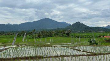 Gambar 4 Jual Tanah Sawah Murah Produktif Cariu Bogor Timur Lainnya