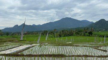 Gambar 5 Jual Tanah Sawah Murah Produktif Cariu Bogor Timur Lainnya