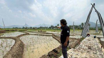 Gambar 2 Jual Tanah Sawah Di Bogor Timur Include Surat2 Sampai Bbn Shm 