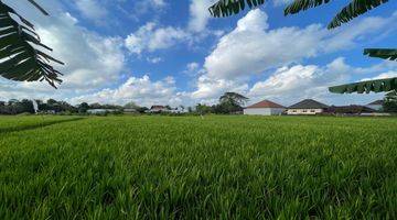 Gambar 3 Rumah Dekat Canggu View Sawah