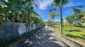 Gambar 3 Rumah Tanpa Dp Dekat Canggu Rumah SHM - Sertifikat Hak Milik di Jl. Yeh Gangga, Gubug Tabanan - Bali, Gubug Baru